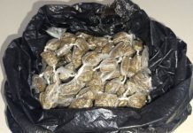 Mulher é presa com mais de 100 porções de maconha em Bom Jesus da Lapa