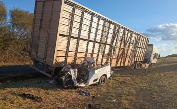 Motorista morre após colisão frontal entre carro e caminhão boiadeiro na BR-349, entre São Félix do Coribe e Bom Jesus da Lapa