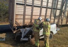 Bombeiros do 20º BBM de Bom Jesus da Lapa resgatam vítima presa às ferragens após grave acidente na BR-349