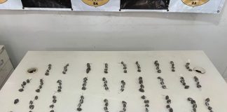 Mulher é presa com 114 porções de maconha durante ação da Rondesp em Bom Jesus da Lapa