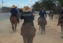 Movidos pela fé, cavaleiros chegam a Bom Jesus da Lapa após 15 dias de viagem