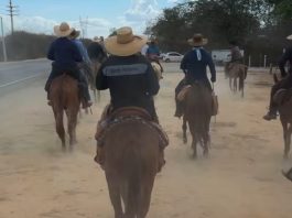 Movidos pela fé, cavaleiros chegam a Bom Jesus da Lapa após 15 dias de viagem
