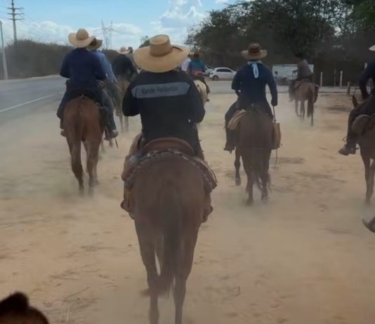 Movidos pela fé, cavaleiros chegam a Bom Jesus da Lapa após 15 dias de viagem
