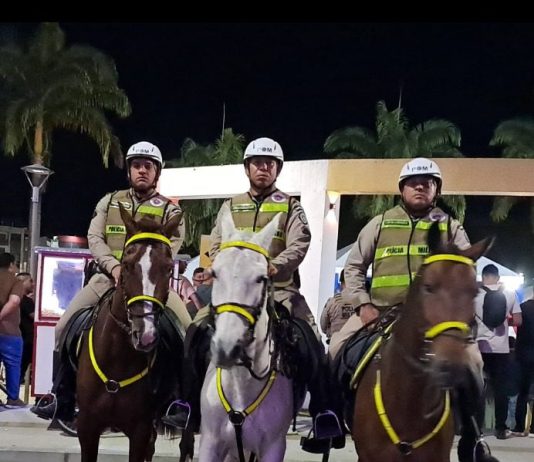 Romaria 2026 terá reforço da Cavalaria da PM e atuação integrada das forças de segurança