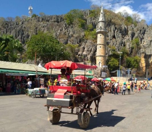 MP recomenda medidas mais rígidas para garantir segurança e bem-estar animal no uso de charretes durante a Romaria de Bom Jesus da Lapa