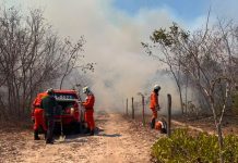 Incêndio de grandes proporções atinge zona rural de Carinhanha e mobiliza bombeiros
