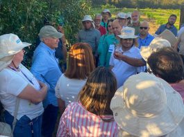 39 perímetros da Codevasf visitam Projeto Formoso para conhecer modelo de gestão e projeto-piloto de diversificação agrícola