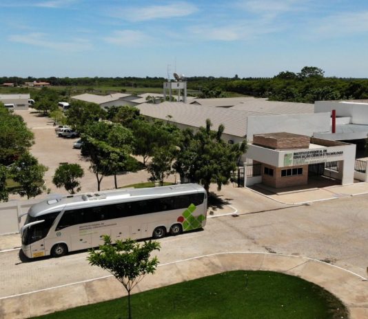 IF Baiano abre seleção para cursos técnicos EaD com 400 vagas em Bom Jesus da Lapa e Santa Maria da Vitória