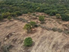 MPBA instaura oito inquéritos para investigar danos ambientais na região de Bom Jesus da Lapa