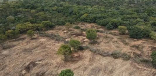 MPBA instaura oito inquéritos para investigar danos ambientais na região de Bom Jesus da Lapa