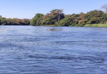 Jovem desaparece após se afogar na segunda tentativa de atravessar o Rio Corrente em São Félix do Coribe