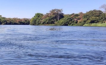Jovem desaparece após se afogar na segunda tentativa de atravessar o Rio Corrente em São Félix do Coribe