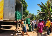 Produtores do Projeto Formoso bloqueiam entrada e saída de caminhões até definição de novo preço da banana