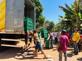 Produtores do Projeto Formoso bloqueiam entrada e saída de caminhões até definição de novo preço da banana