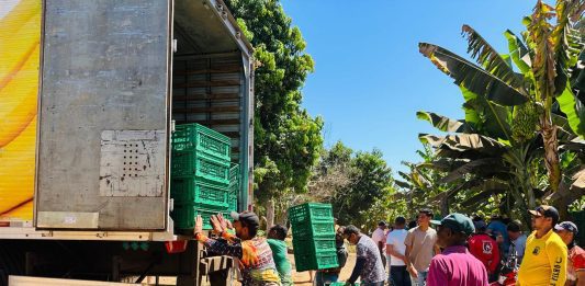 Produtores do Projeto Formoso bloqueiam entrada e saída de caminhões até definição de novo preço da banana