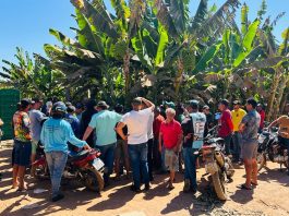 Produtores do Projeto Formoso se unem por preço justo e padronizado para a banana