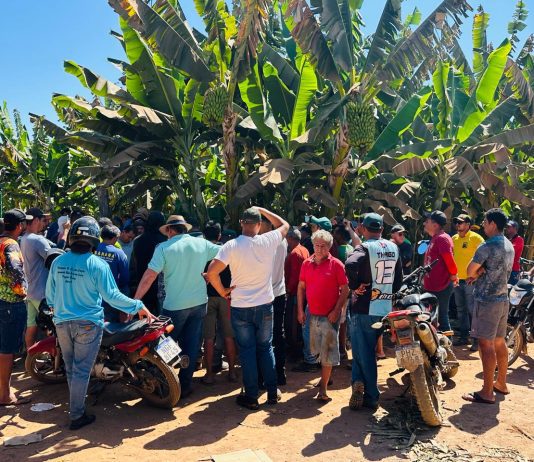 Produtores do Projeto Formoso se unem por preço justo e padronizado para a banana