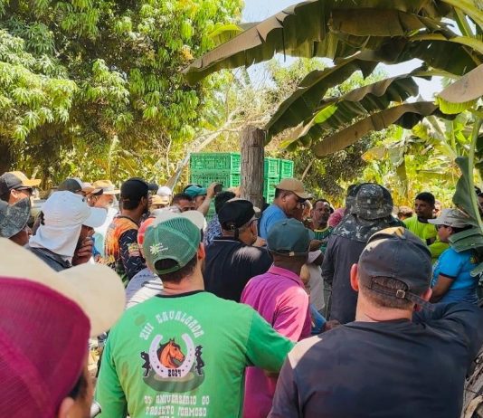 Mobilização no Projeto Formoso eleva preço da caixa de banana para R$ 40 e fortalece organização dos produtores