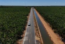 Projeto Formoso ganha destaque na Rádio Nacional pela força da produção agrícola e geração de empregos