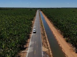 Prefeito de Bom Jesus da Lapa sanciona lei que autoriza repasse de até R$ 1 milhão para fortalecer ações no Perímetro Formoso