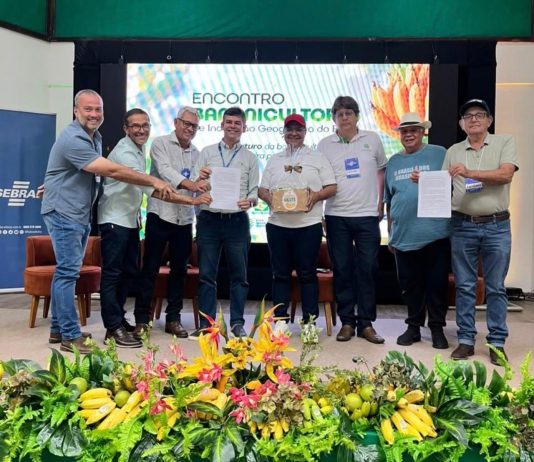 Bom Jesus da Lapa sedia Encontro de Bananicultores de Indicação Geográfica do Brasil
