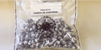 Dois homens são presos com quase 200 porções de maconha em Bom Jesus da Lapa